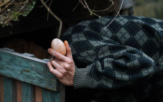 Una persona recoge huevos / PEXELS