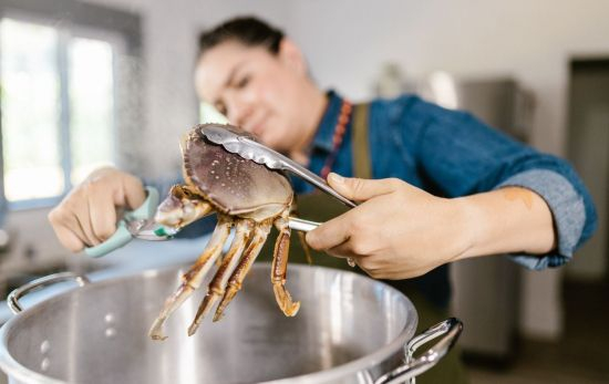 Una persona añade un cangrejo a la olla / PEXELS Una persona añade un cangrejo a la olla / PEXELS