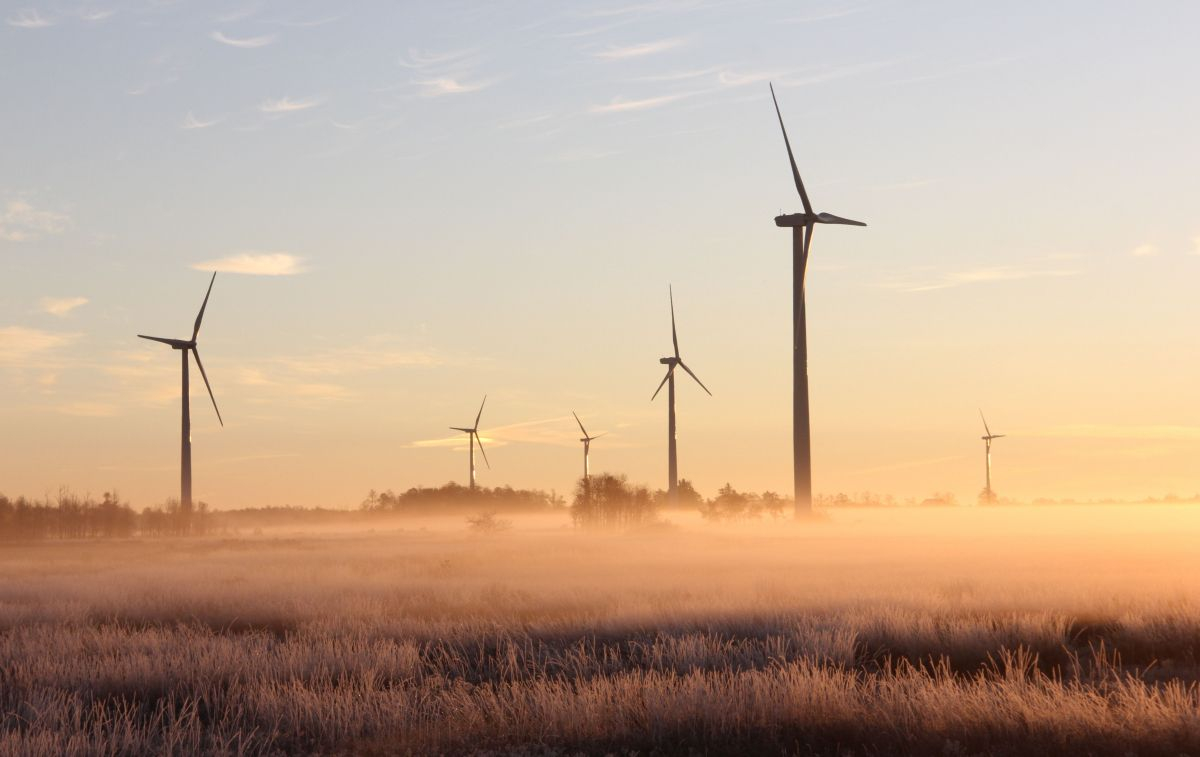 Varios molinos de viento generan energía verde en España, lo que hace bajar el precio de la luz / PEXELS