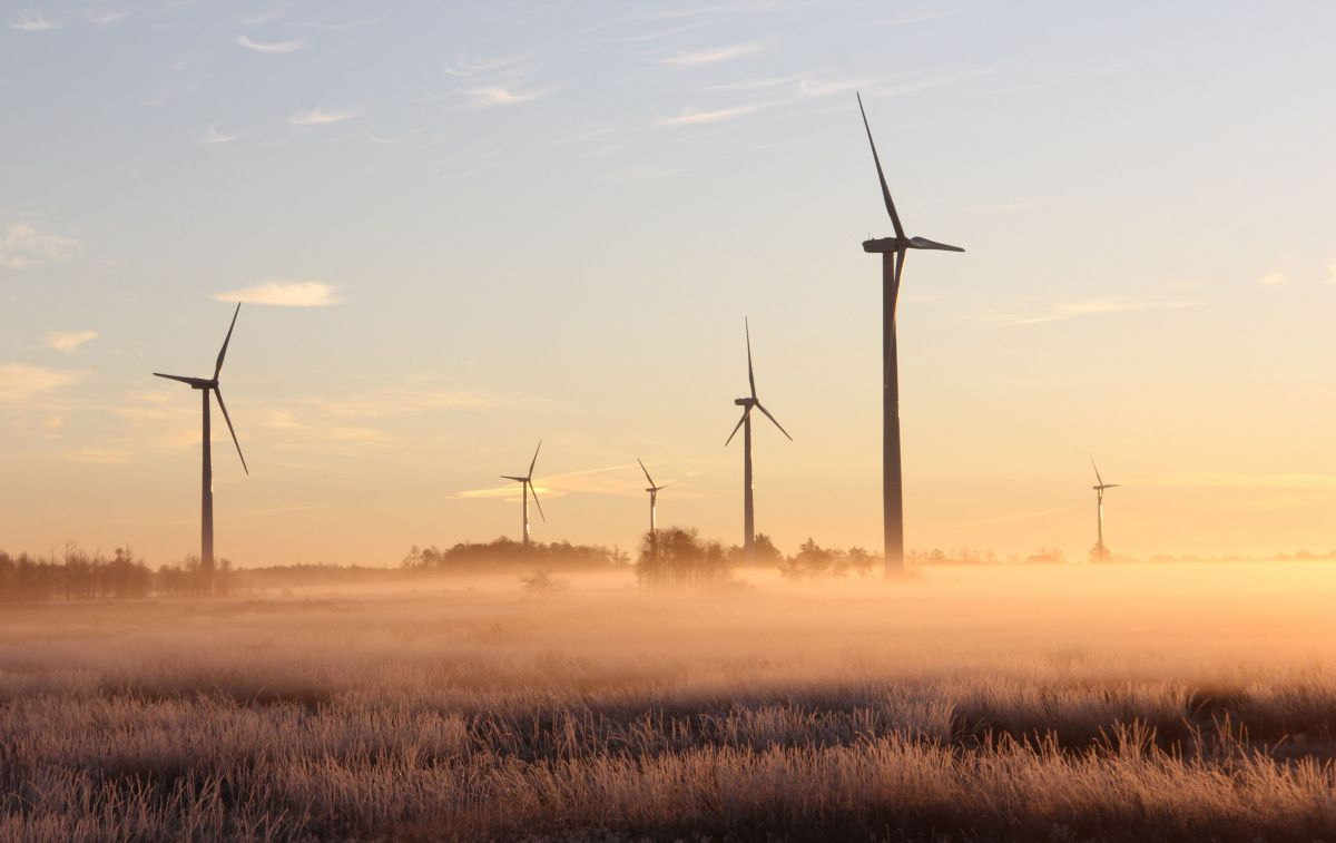 Varios molinos de viento generan energía verde en España, lo que hace bajar el precio de la luz / PEXELS Varios molinos de viento generan energía verde en España, lo que hace bajar el precio de la luz / PEXELS